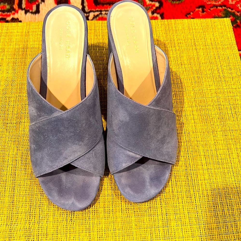 Cole Haan blue suede sandals